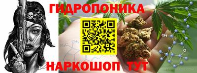 соль ск Дубна